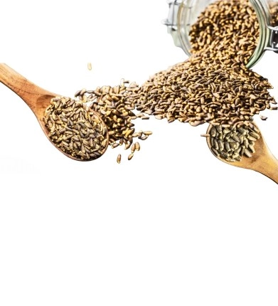 DEVE DİKENİ TOHUMU 100GR