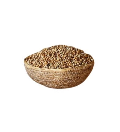 KİŞNİŞ 100GR