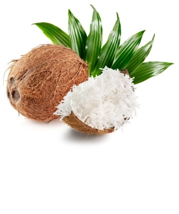 HİNDİSTAN CEVİZİ