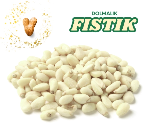 DOLMALIK YER FISTIĞI (YALANCI FISTIK)