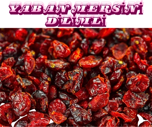 YABAN MERSİNİ - DİLİMLİ-