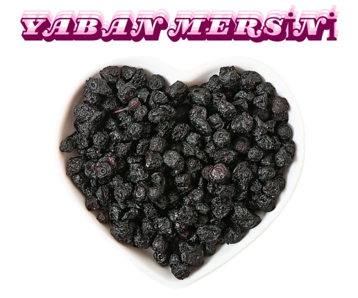 BLUEBERRY (YABAN MERSİNİ)